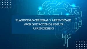 Plasticidad cerebral y aprendizaje. ¿Por qué podemos seguir aprendiendo?